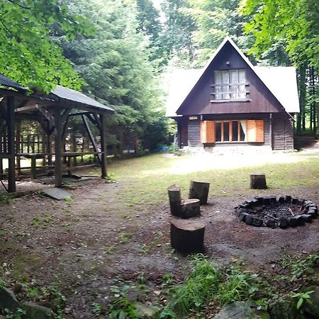 Slovak Cottage Near Bratislava In The Heart Of The Carpathians モドラ エクステリア 写真