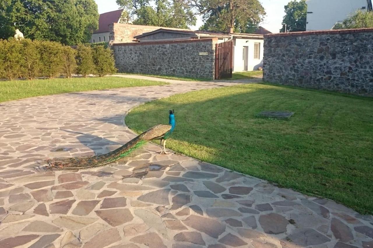 Slovak Cottage Near Bratislava In The Heart Of The Carpathians モドラ エクステリア 写真