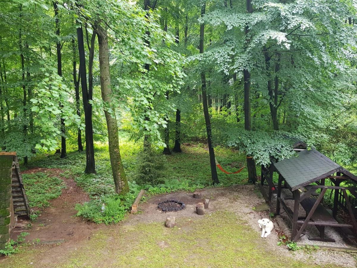 Slovak Cottage Near Bratislava In The Heart Of The Carpathians モドラ エクステリア 写真