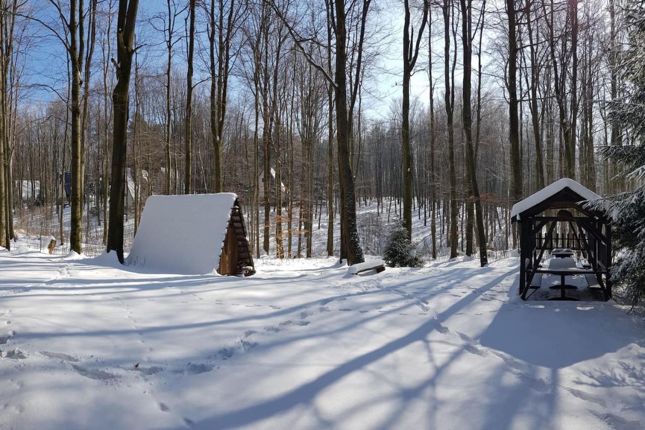 Slovak Cottage Near Bratislava In The Heart Of The Carpathians モドラ エクステリア 写真