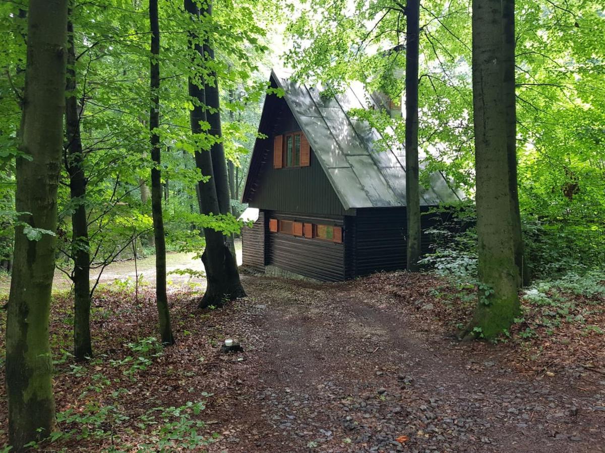 Slovak Cottage Near Bratislava In The Heart Of The Carpathians モドラ エクステリア 写真