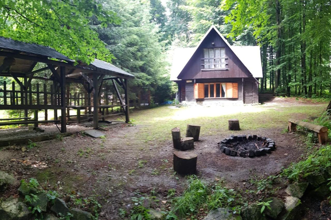 Slovak Cottage Near Bratislava In The Heart Of The Carpathians モドラ エクステリア 写真