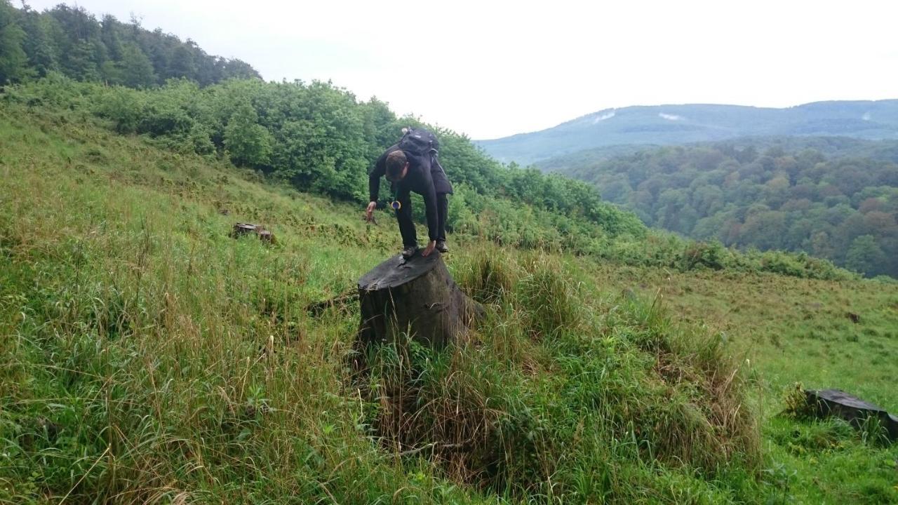 Slovak Cottage Near Bratislava In The Heart Of The Carpathians モドラ エクステリア 写真