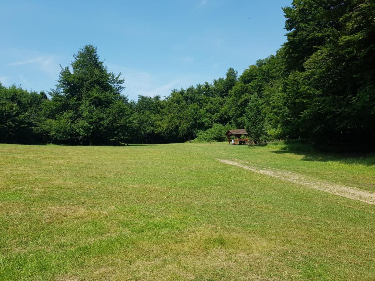 Slovak Cottage Near Bratislava In The Heart Of The Carpathians モドラ エクステリア 写真